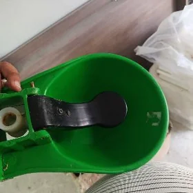 okuzler ucun suw icyan