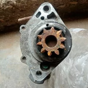 stater