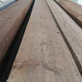 strapila