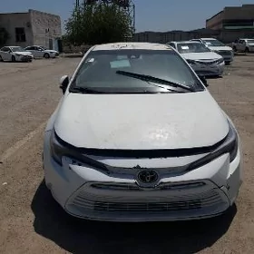 Toyota Corolla 2023