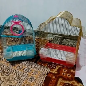 ketek