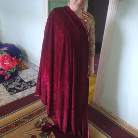 Setka pombarh