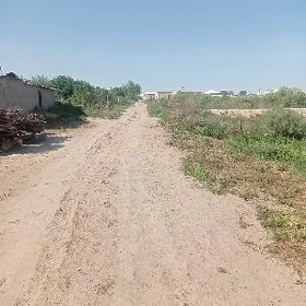 mellek