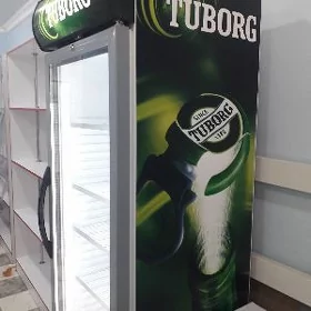 ветреной холаделник