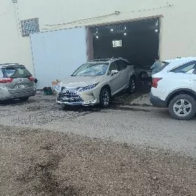 Lexus RX 350 2021
