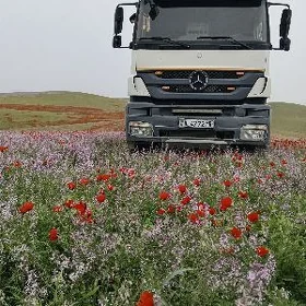 Mercedes-Benz ACTROS 3331 2008