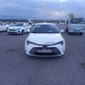 Toyota Corolla 2023