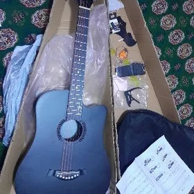 taze gitara arzan