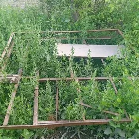 Tapçan , kãrt