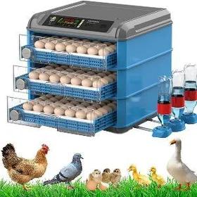 inkubator