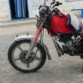 Fekon FK200-14G 2023