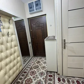Гаудан Б от хозяина