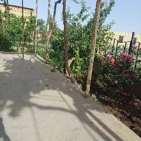 oyde caga seretmeli