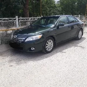 Toyota Camry 2010