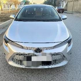 Toyota Corolla 2020