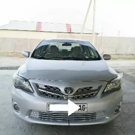Carolla Bamper fara