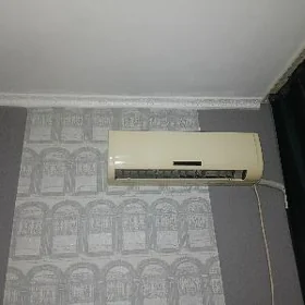 сплинт
