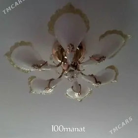 öý goşy