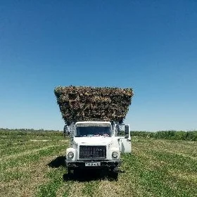 Gaz 53 1992