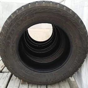 Maşyn tekeri (ayak)