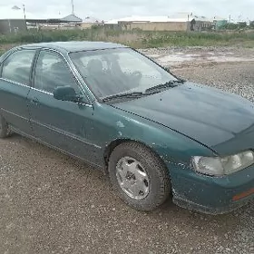 Honda Accord 1994