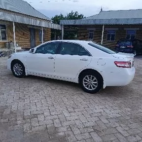 Toyota Camry 2011