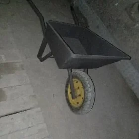 arawa galtak