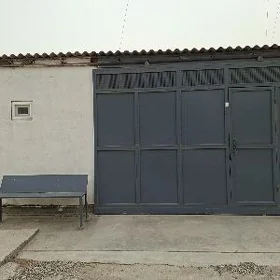 Satlyk Tejen jay