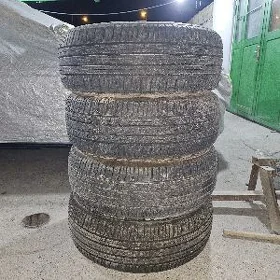 TEKER PAKRIŞKA
