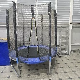 батут