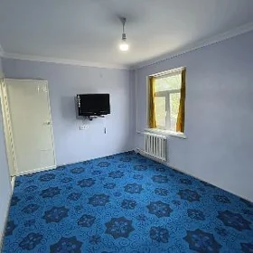 квартира