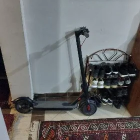 Toklu samakat