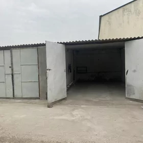 Arenda bokus