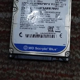 Žostkiý disk