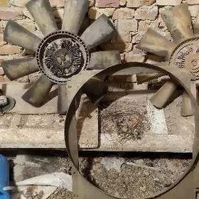 maz gidramufda