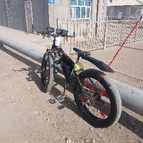 fins wali uli teker