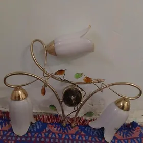 lýustra transformer