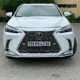 Lexus NX 350 2023