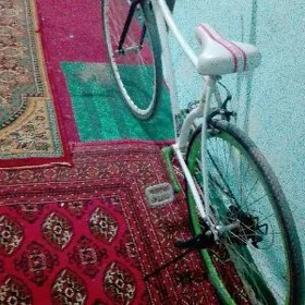welsapet Spartiwny