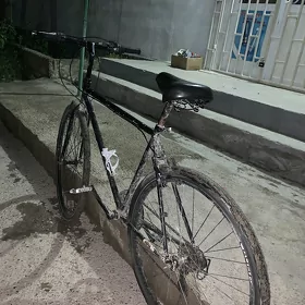 Ural tigir