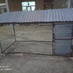 towuk ketek