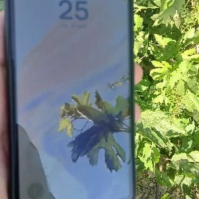 Samsung A53