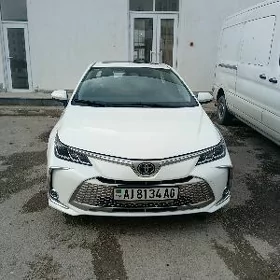 Toyota Corolla 2025
