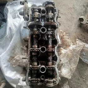 CORONA 2 LIK GALOWKA