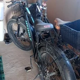 pokgi tigir uly tigir