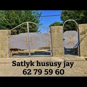 Satlyk jay