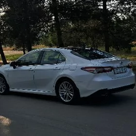 Toyota Camry 2019