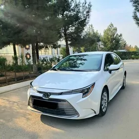 Toyota Corolla 2025