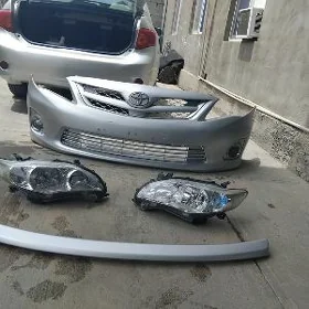 Bampyr korolla