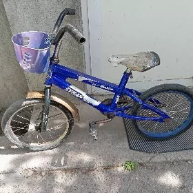tigir gyssagly weloseped kici